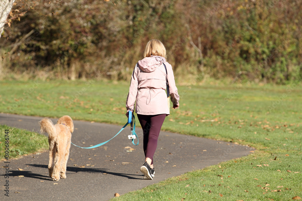 Adult woman walking her dog at the park on a sunny day. Adult woman walking her dog at the park on a sunny day.