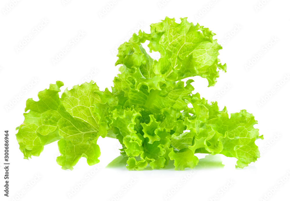 fresh green lettuce leaves isolated on white fresh green lettuce leaves isolated on white