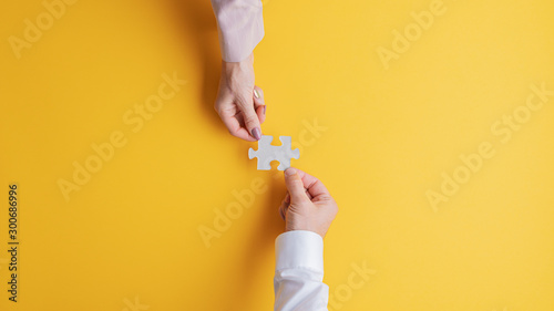 Business teamwork and cooperation photo