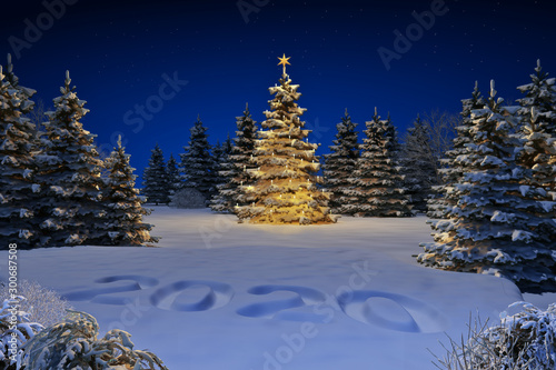 Photography Weihnachtsbaum mit Jahreszahl 2020