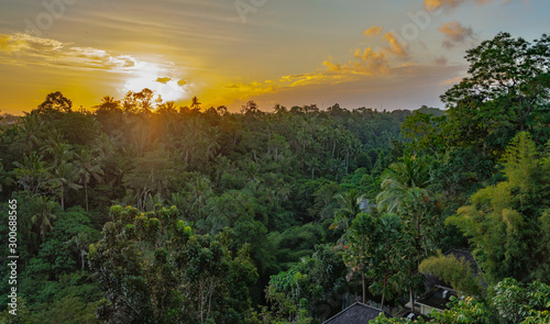 Sunset over forest at Ubud Bali
