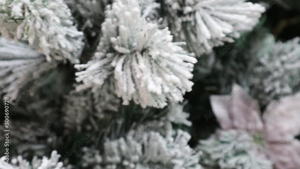 Green pine branches covered with frost branches of green spruce, hoarfrost. Snow lies on the branches of spruce Green pine branches covered with frost branches of green spruce, hoarfrost. Snow lies on the branches of spruce