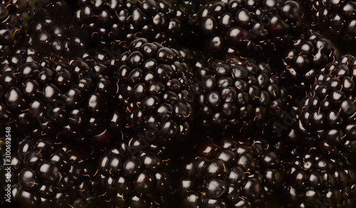 Brombeeren