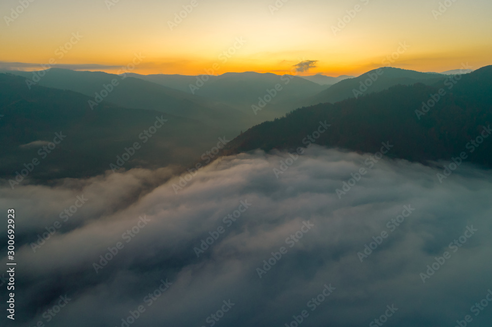 Foggy autumn morning in the Carpathian Mountains. Amazing sunrise beauty of the forests. Fog at the sunrise