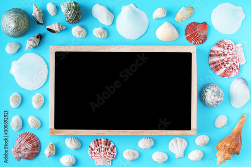 Shells on blue background. Copy space for your text.top view.