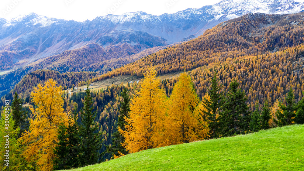 Fototapeta premium autumn in the mountains