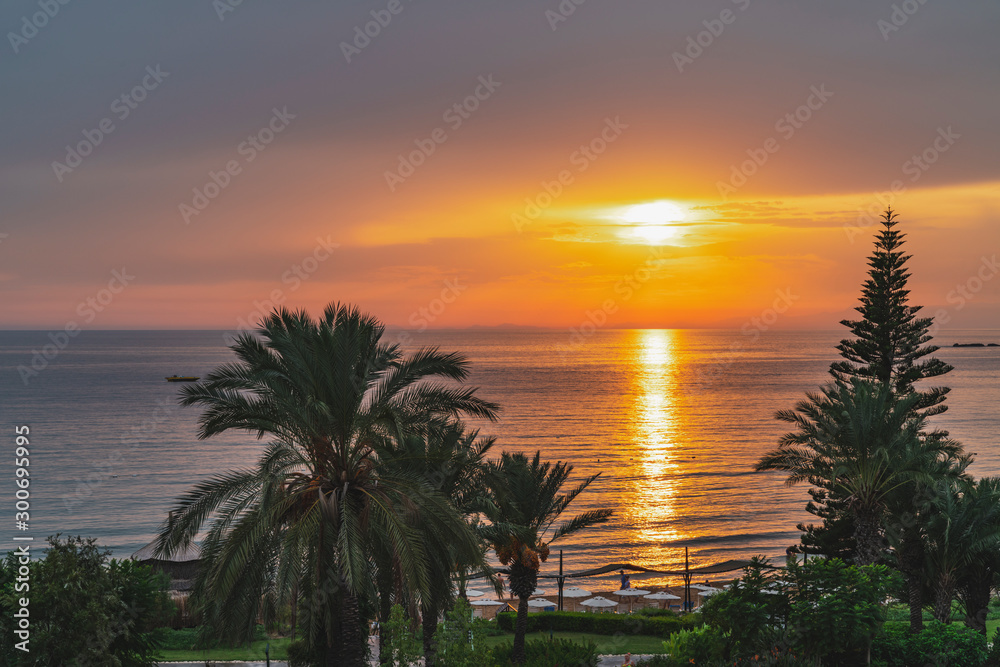 Sea beach with sunset background. In the foreground palm trees, cypress and greenery. Seascape in the evening is tranquilizing and relaxing
