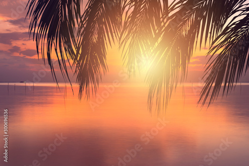 Abstract of sunset on the sea whit coconut leaves background