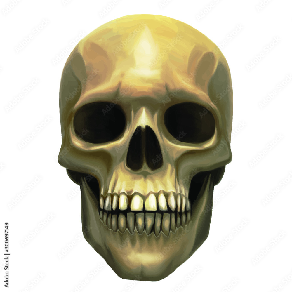 Fototapeta premium skull art illustration graphic design