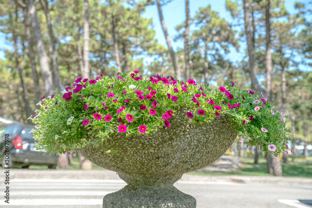 Fototapeta premium nice city road with concreet vase pot at street decoration with some flowers..