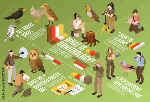 Ornithologist Isometric Flowchart      