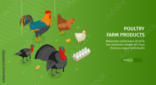 Poultry Farm Products Banner