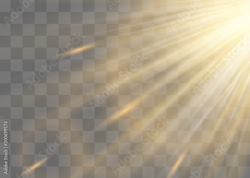 White glowing light explodes on a transparent background. Vector illustration of light decoration effect with ray.