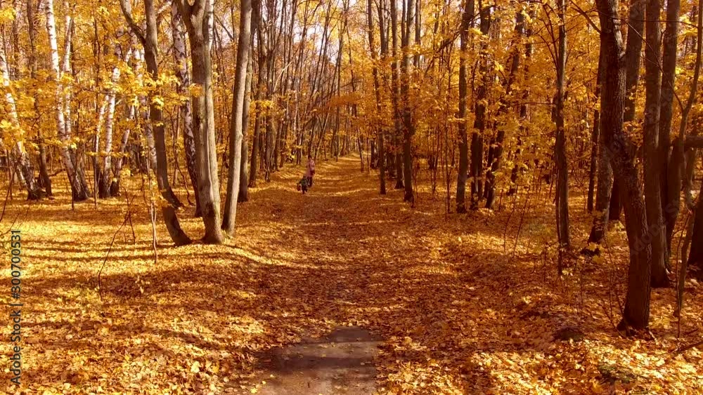 A child runs through the autumn forest A child runs through the autumn forest