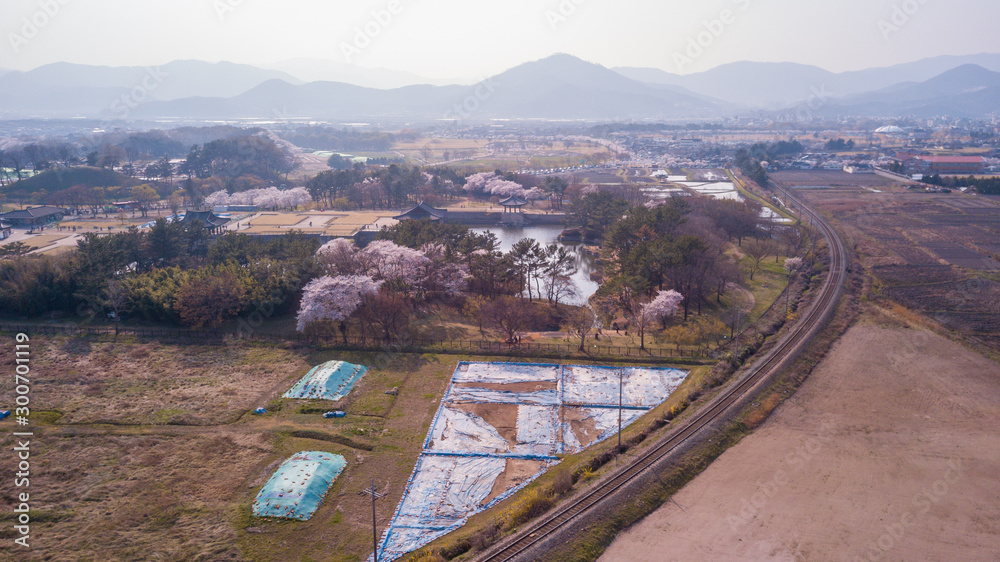 Aerial view at Gyeongju Cherry Fastival,South Korea. Aerial view at Gyeongju Cherry Fastival,South Korea.