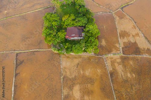 Aerial top view of a Small island on middle empty paddy field.