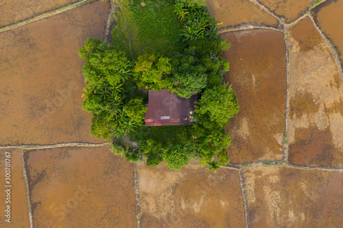Aerial top view of a Small island on middle empty paddy field.