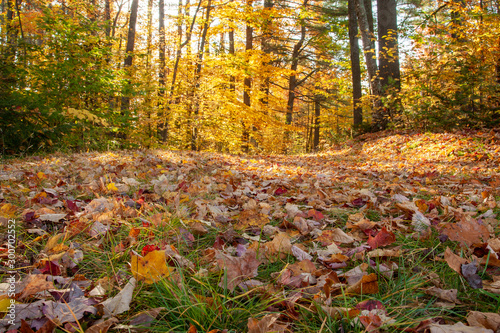 Vermont Mountain Landscape in Autumn