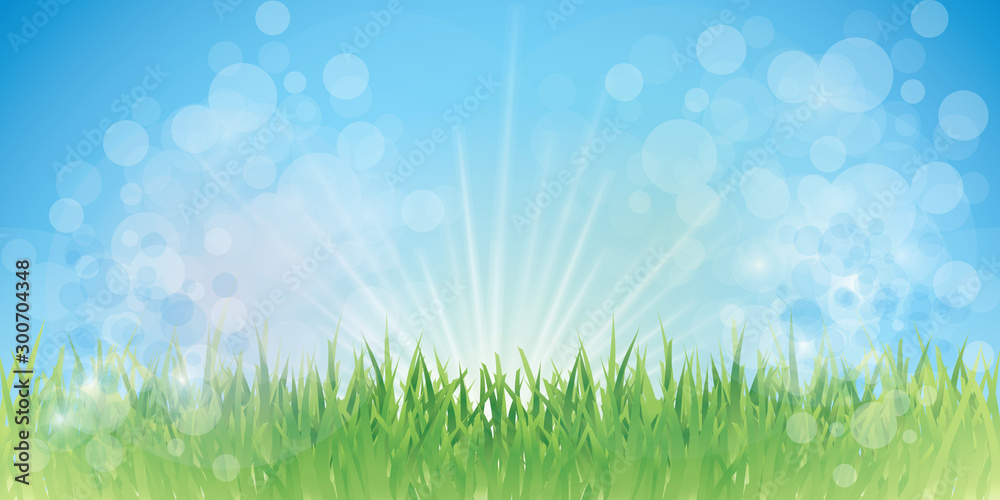 Fairy grass background
