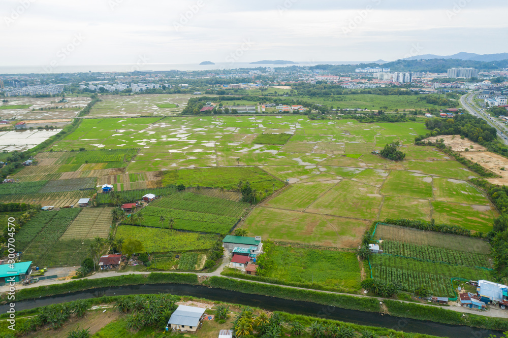 Aerial view of beautiful paddy field surrounding by small town at Penampang, Sabah, Borneo 