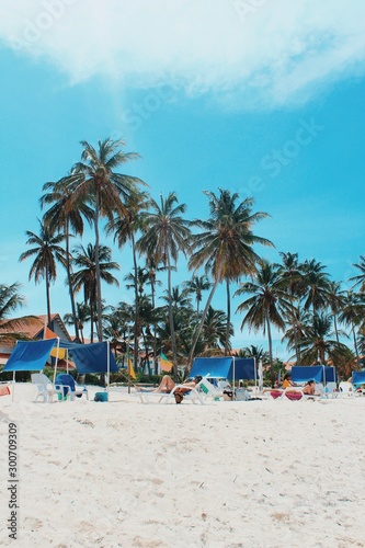 beach with chairs and umbrellas © nathana