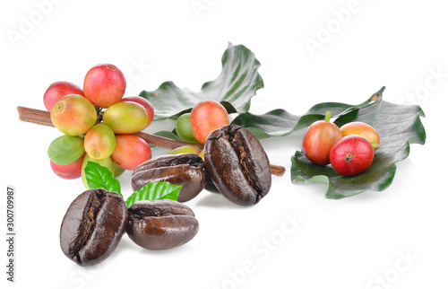 Fototapeta Naklejka Na Ścianę i Meble -   coffee beans  isolated on white background