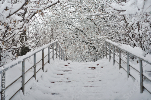 Beautiful snowy staircase in a winter park running up. trees in the snow. cold season. landscape for design calendar, articles, print. © Nursee