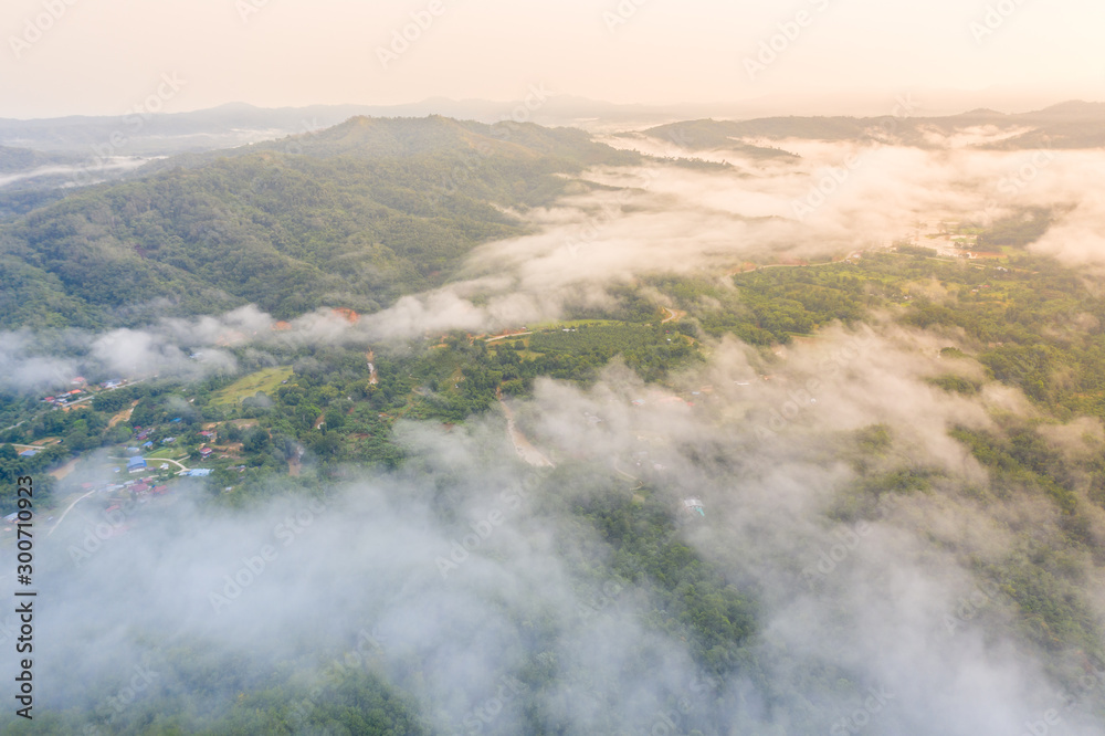 Aerial drone image of beautiful tropical rainforest forest in Sabah Borneo (image slightly soft focus and noise) Aerial drone image of beautiful tropical rainforest forest in Sabah Borneo (image slightly soft focus and noise)