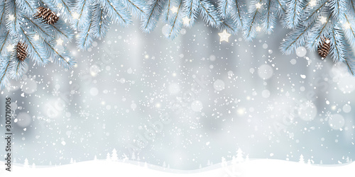 Winter Christmas background with landscape, snowflakes, light, stars. Xmas and New Year card. Vector Illustration