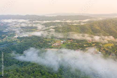 Aerial drone image of beautiful tropical rainforest forest in Sabah  Borneo (image slightly soft focus and noise) © alenthien
