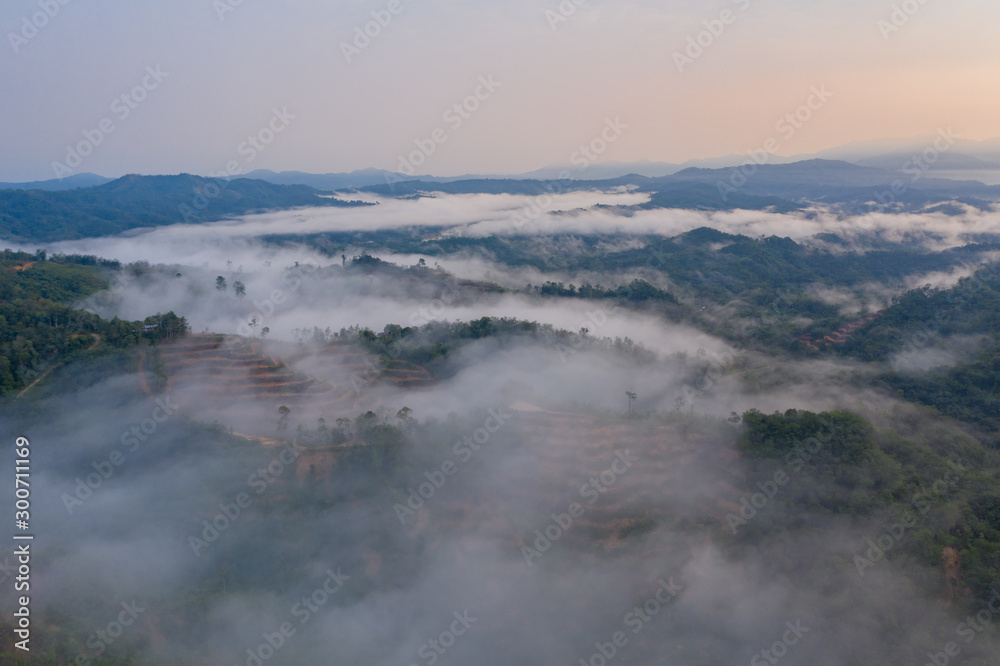 Aerial drone image of beautiful tropical rainforest forest in Sabah  Borneo (image slightly soft focus and noise)