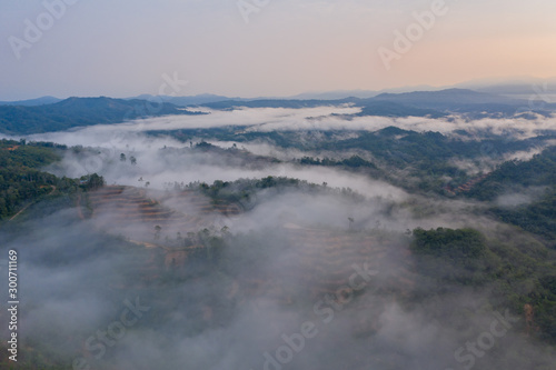 Aerial drone image of beautiful tropical rainforest forest in Sabah Borneo (image slightly soft focus and noise)