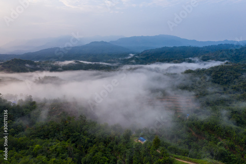 Aerial drone image of beautiful tropical rainforest forest in Sabah Borneo (image slightly soft focus and noise)
