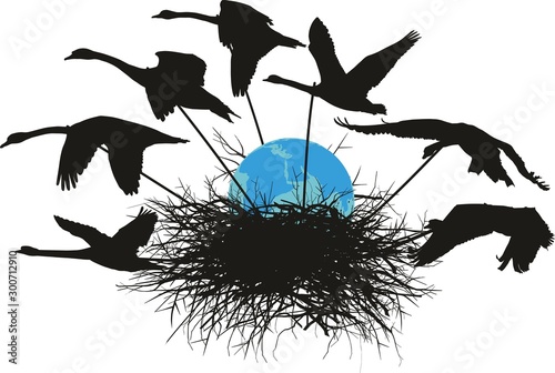 birdnest, black, caring, design, drawing, earth, eggs, enviroment, environment, falls, flying, globe, graphic, illustration, isolated, life, nature, planet, rescued, swans, vector, wild