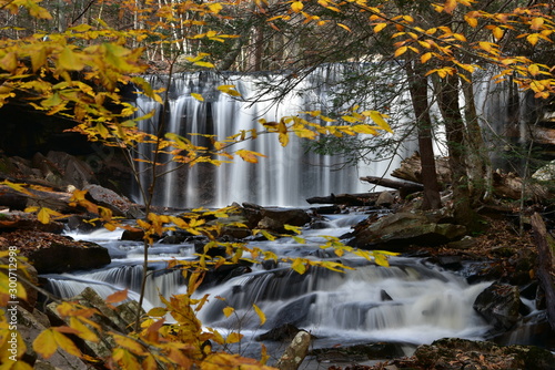 Ricketts Glen State Park, beautiful leaf and waterfalls photo