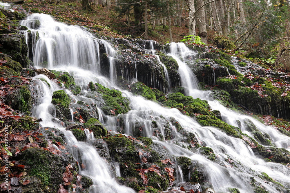 Fototapeta premium Quelle im Wald - wiosna w lesie