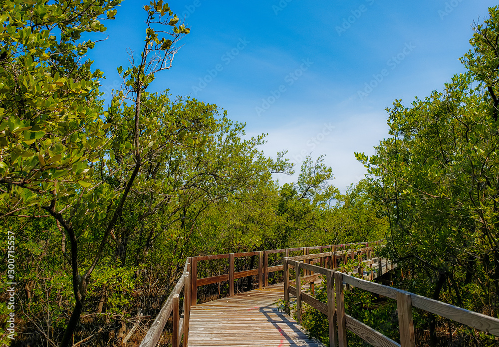 Sendero Isleño