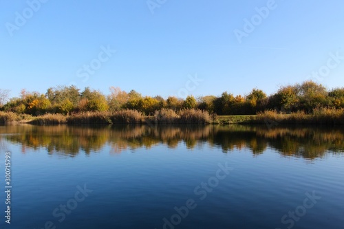 Fototapeta Naklejka Na Ścianę i Meble -  Lake shoreline reflecting in the water with a cloudless clear blue sky