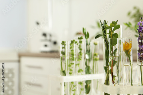 Test tubes with different plants on blurred background  closeup. Space for text