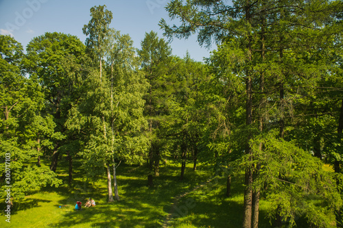 Orlovskiy park. Strelna  St. Petersburg