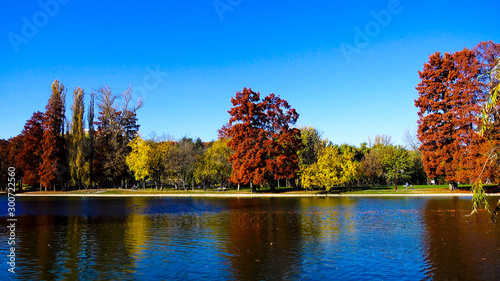 Photography of forest or park in autumn with trees and water lake