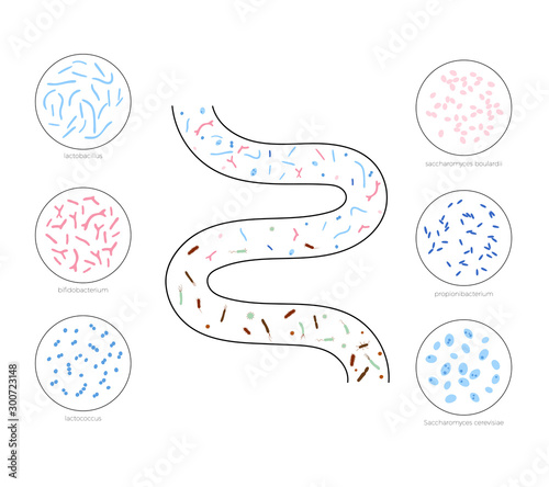 Vector isolated illustration of probiotics