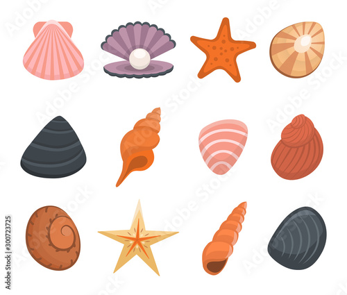 Cartoon Color Various Shells Icon Set. Vector