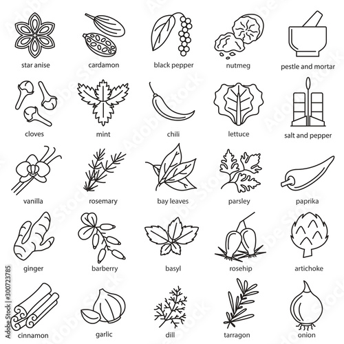 Spices Condiments Sign Black Thin Line Icon Set. Vector