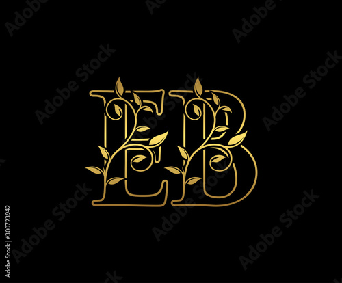 Golden letter E and B, EB vintage decorative ornament emblem badge, overlapping monogram logo, elegant luxury gold color on black background.