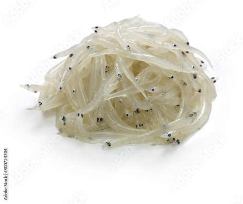 whitebait, young anchovy, young sardine, shirasu, japanese seafood