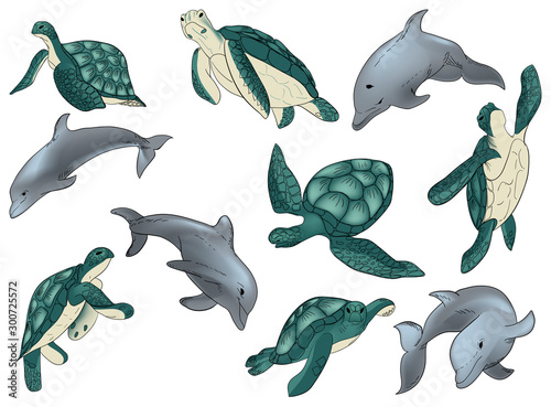 Illustration vector set of swimming dolphins and turtle with isolated on white background