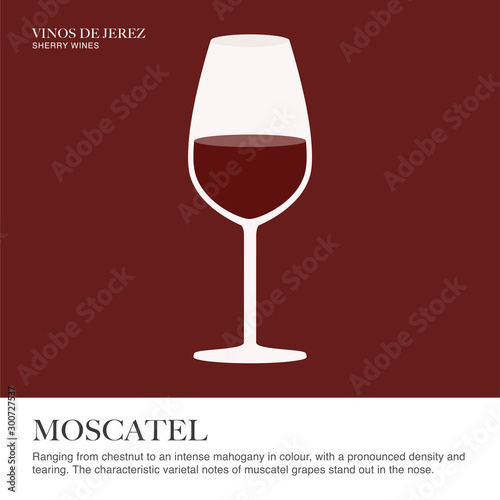 Moscatel spec sheet. Sherry wine. Illustrated guide for bars, restaurants, tourist guides, encyclopedias…