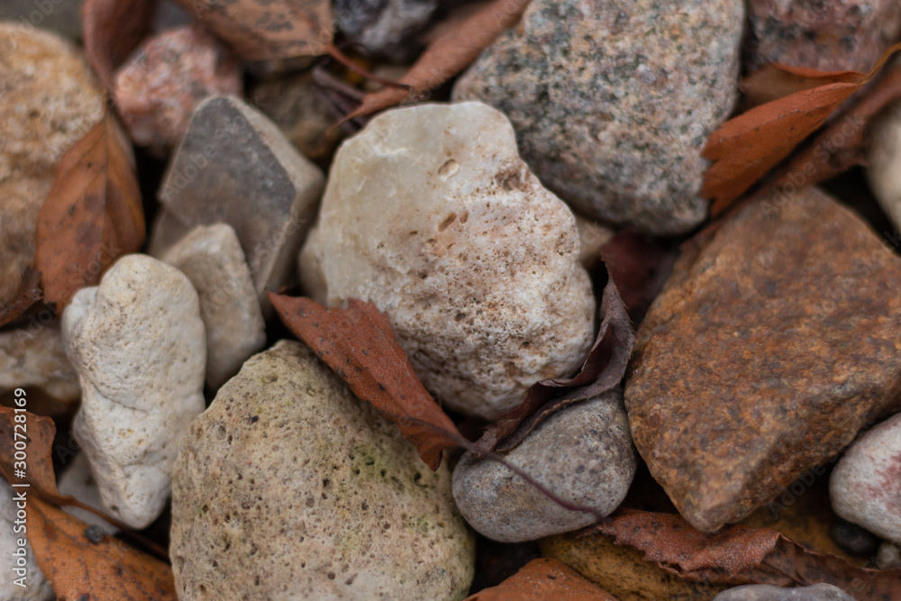 stones between which are fallen autumn leaves stones between which are fallen autumn leaves