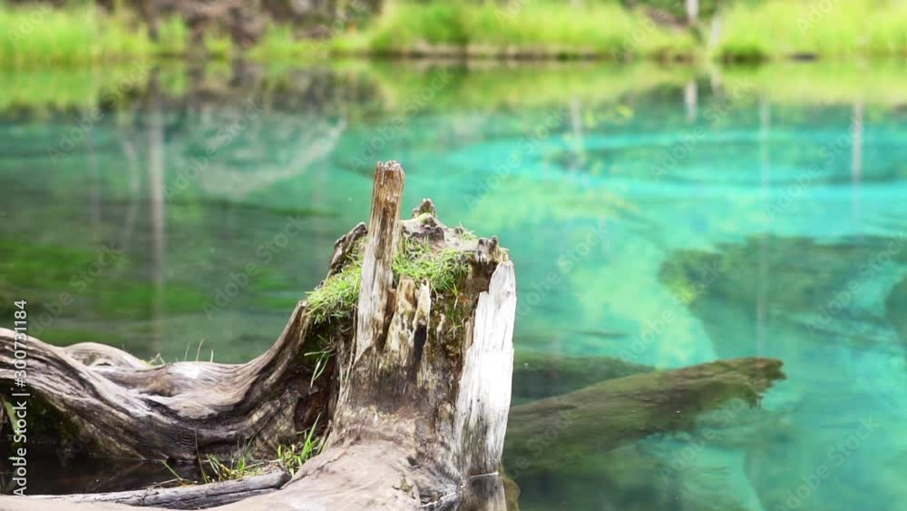 geyser lake in Altai in Russia geyser lake in Altai in Russia